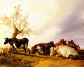 Dairy Cows Resting - 托马斯·辛德尼·库珀